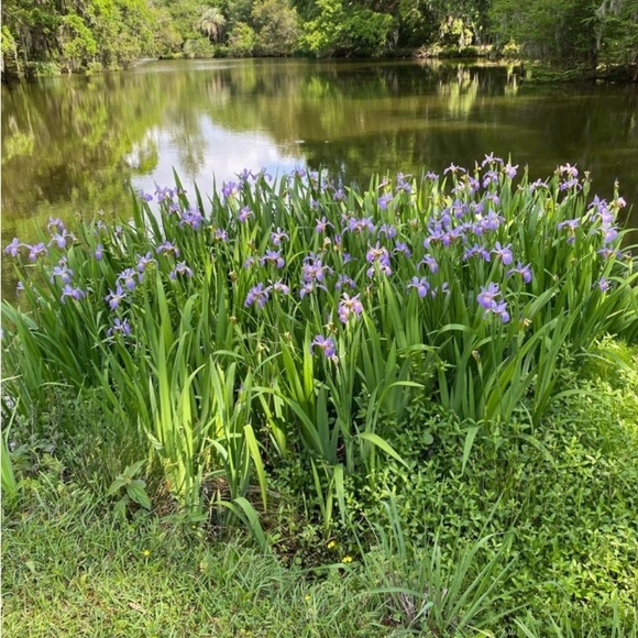 😊 Offers Welcome! All reasonable offers considered + accepted or countered 💖 - Picture 3 of 4